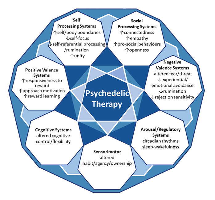 fpsyt-12-800072-g001 Fpsyt 12 800072 G001